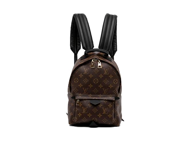 Brown Louis Vuitton Monogram Palm Springs PM Backpack Leather  ref.1239048