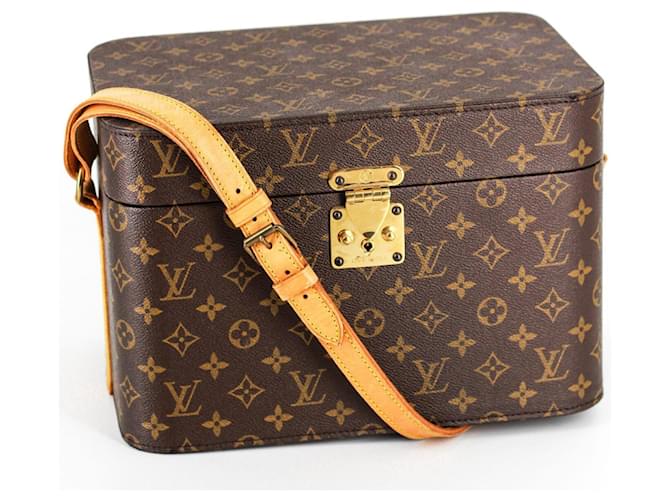 Louis Vuitton vanity case Brown Cloth  ref.1243125