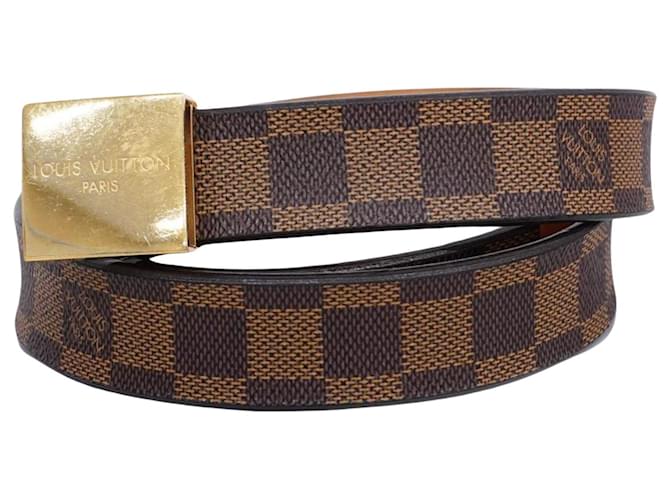Louis Vuitton Brown Cloth  ref.1243757