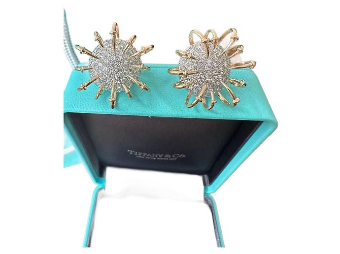 Orecchini Tiffany & Co Apollo Oro 18k e Platino con Diamanti D'oro