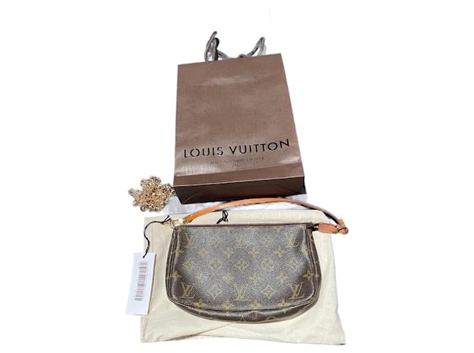 Pochette accessoires Louis Vuitton Cuir Marron  ref.1246798