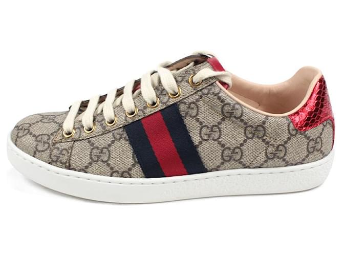 Gucci Sneakers Mehrfarben Beige Leinwand  ref.1249211