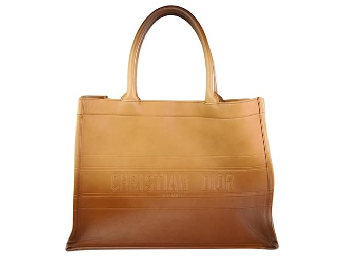 Christian Dior brown 2021 leather ombre book tote  ref.1249800