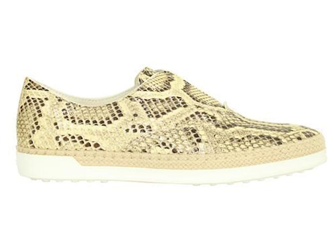 Tod's Snakeskin Sneakers Leather  ref.1253806