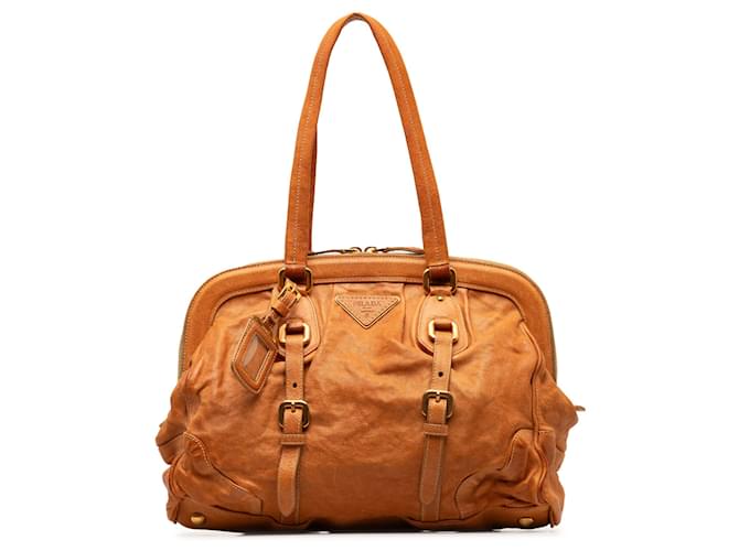 Prada Brown Leather Frame Shoulder Bag Pony-style calfskin  ref.1256664