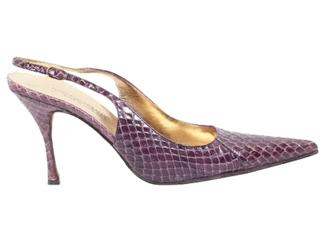 Dolce & Gabbana Talons pointus en peau de serpent Cuir Violet  ref.1257678