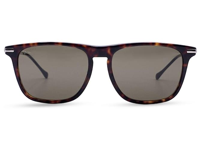 Óculos de sol Gucci Marrom Plástico  ref.1259513