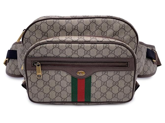 Gucci Grand sac taille Ophidia en cuir et toile suprême GG beige  ref.1260066