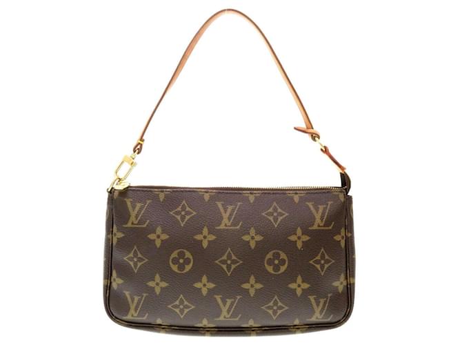 Louis Vuitton Pochette Accessoires Brown Cloth  ref.1260608