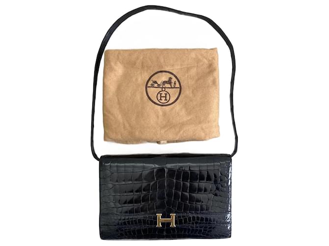 Hermès Annie Black Exotic leather  ref.1269170