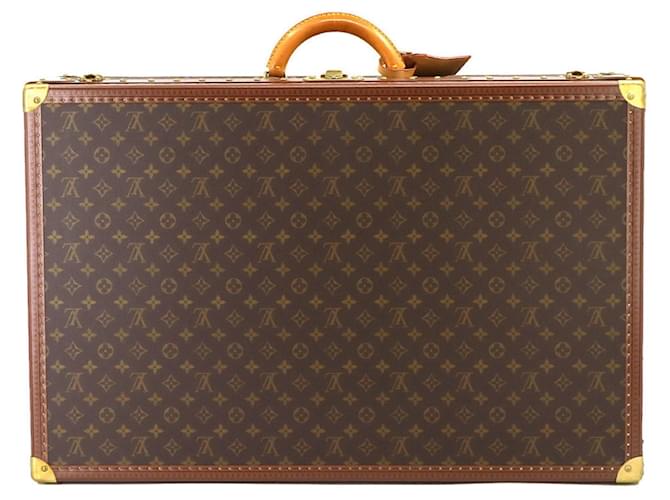 Louis Vuitton Bisten Brown Cloth  ref.1271515
