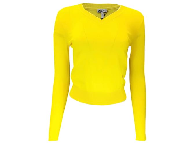 Autre Marque Loewe Lemon Long Sleeved V-Neck Viscose Knit Pullover Sweater Yellow  ref.1279920