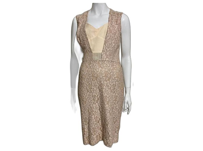 Reiss Spitzenkleid Rosa Pink Fleisch