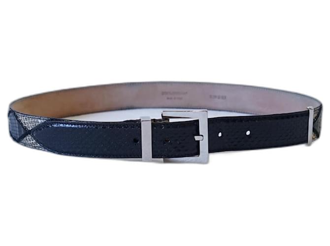 Dolce & Gabbana Belts Multiple colors Exotic leather  ref.1281510