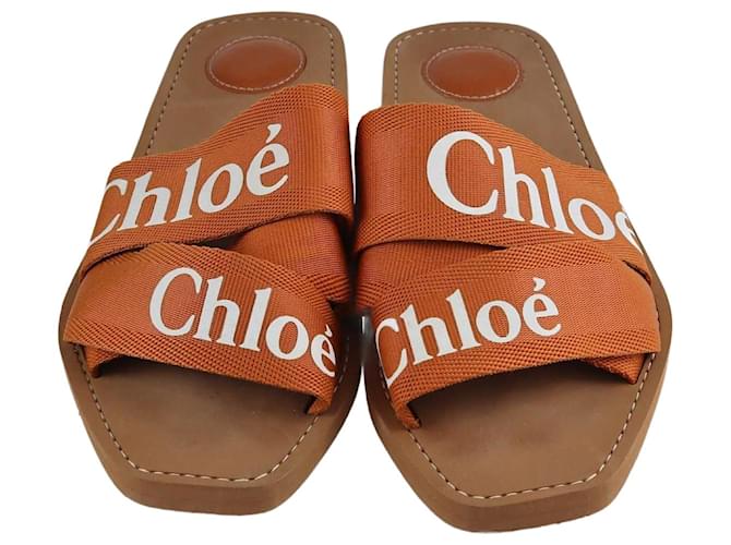 Chloé Sandali Slide Woody Marrone Chloe Pelle  ref.1283491