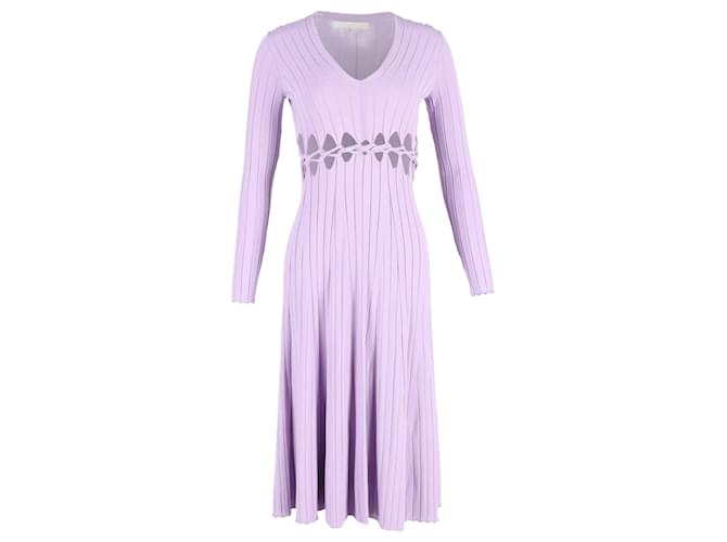 Autre Marque Dion Lee Pinnacle Braid Dress In Purple Viscose Polyester  ref.1283926