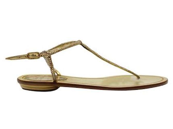 Rene Caovilla Golden Flat Thong Sandals with Rhinestones Leather  ref.1285184