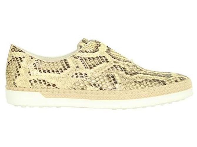 TOD'S Snakeskin Sneakers Leather Rubber  ref.1286556