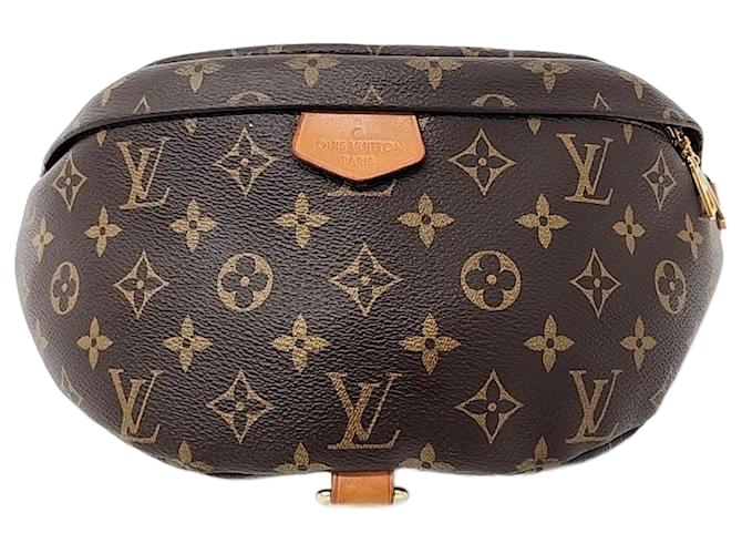Louis Vuitton  Monogram Bumbag  ref.1287781