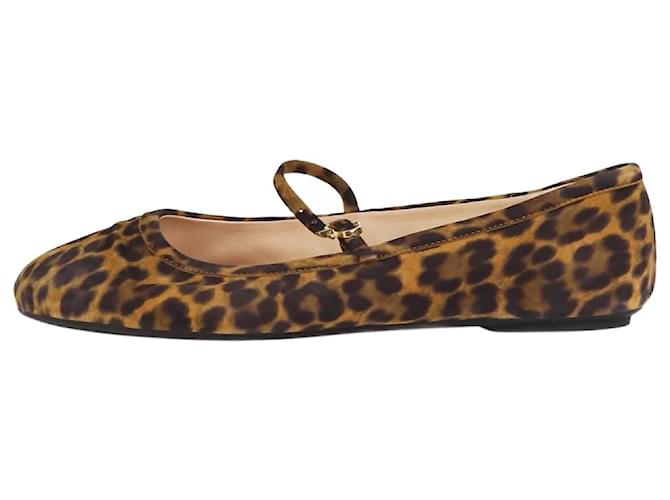 Gianvito Rossi Leopard print Carla ballerina shoes - size EU 37.5 Suede  ref.1296368