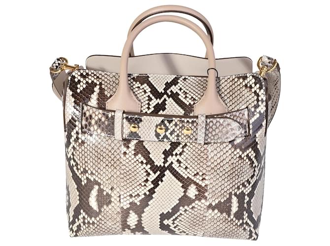 Burberry Natural Python & Pale Drift Leather Small Belt Bag Brown Beige  ref.1305466