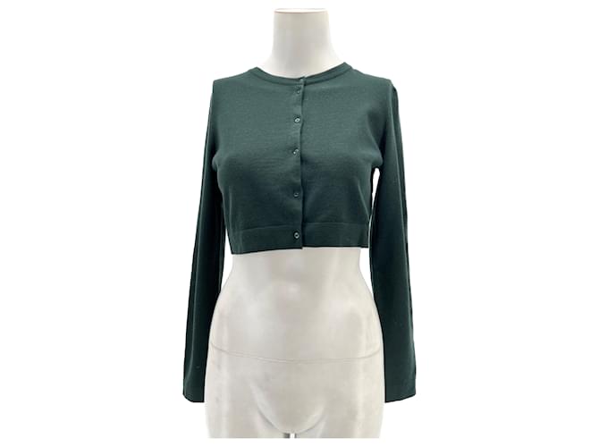 Alaïa ALAIA  Knitwear T.fr 42 Wool Green  ref.1305574