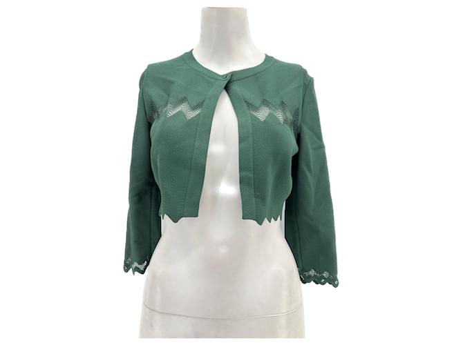 Alaïa ALAIA  Knitwear T.fr 40 Viscose Green  ref.1305683