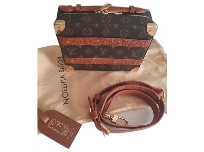 Louis Vuitton NBA Trunk Handle Bag Chocolate