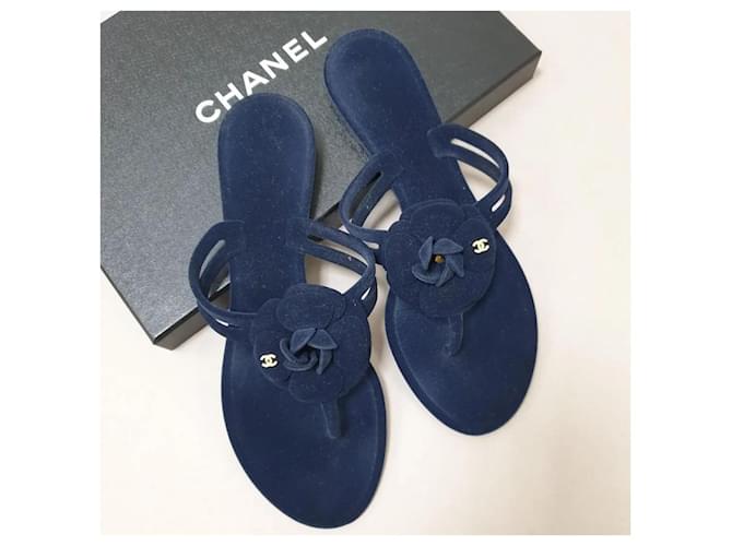 Chinelos de dedo de veludo azul marinho da Chanel NWOB com camélia. Azul escuro Couro  ref.1306994