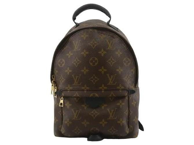 Louis Vuitton Palm Springs Brown Leather  ref.1307322