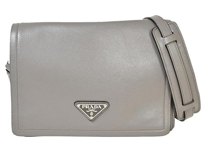 Prada Silvery Leather  ref.1309044