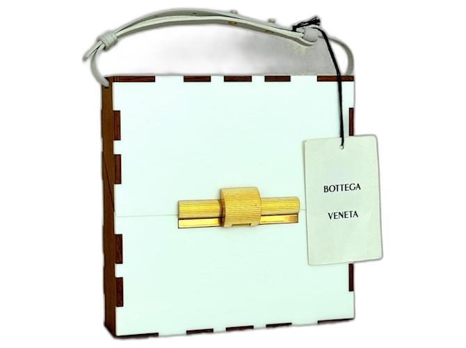 Bottega Veneta Daisey Box Marrom Branco Plástico Madeira  ref.1314029