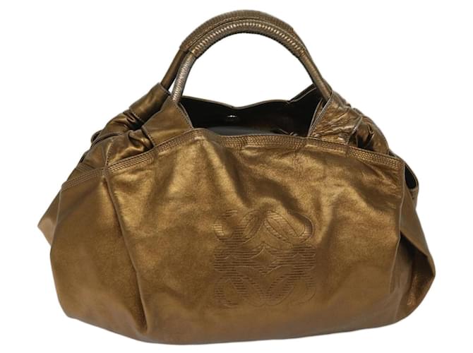 Loewe Nappa Golden Leather  ref.1315006