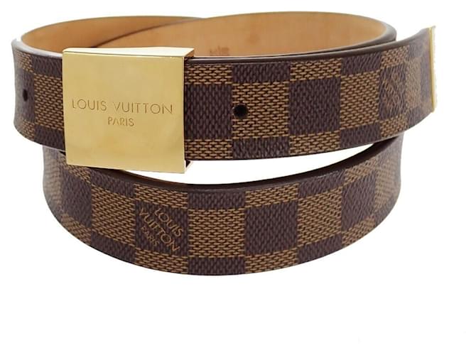 Louis Vuitton Toile Marron  ref.1316156