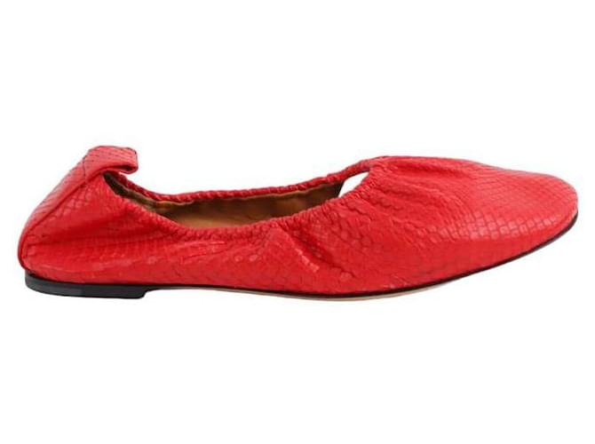 Céline Red ballerinas Exotic leather  ref.1317823