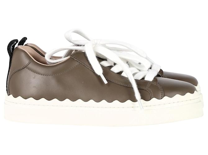 Chloé Lauren Low-Top Sneakers in Brown Leather  ref.1318242