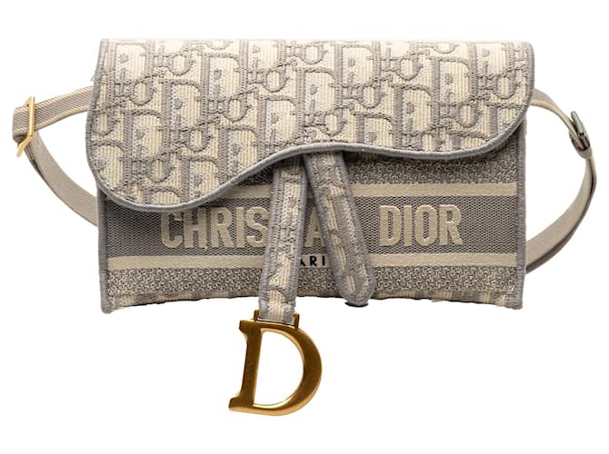 Pochette ceinture fine Saddle Oblique grise Dior Toile Tissu  ref.1324491