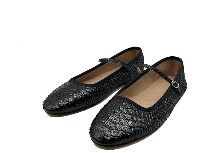 Autre Marque SEED HERITAGE  Ballet flats T.eu 39 Exotic leathers Black  ref.1325501