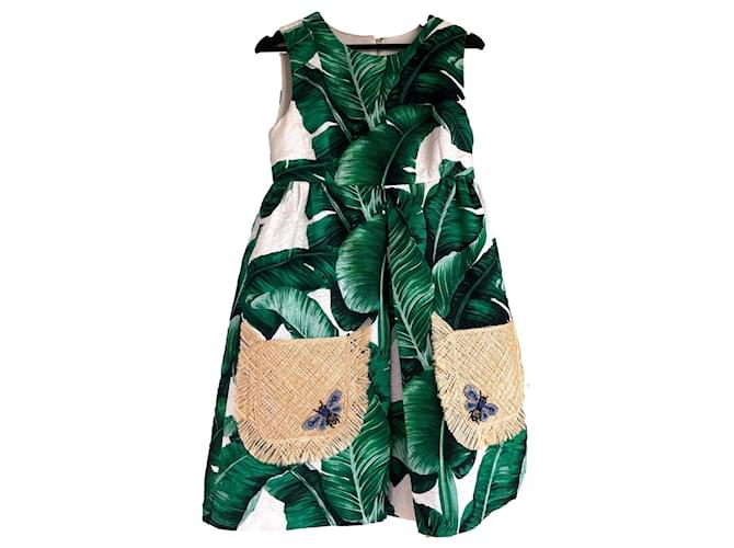 Robe Dolce & Gabbana feuilles de Bananier Coton Vert  ref.1344103