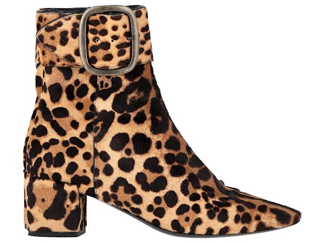 Saint Laurent Ankle Boots mit Schnalle in Ponyhaar Animalprint Python drucken Wolle Rosshaar ref.1344840 Joli Closet