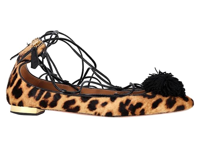 Aquazzura Sunshine Leopard-Print Lace-Up Ballerina Flats in Brown Leather  ref.1342852