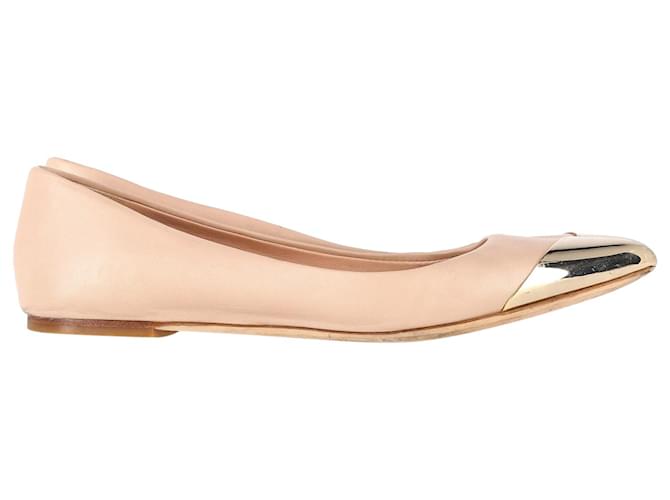 Christian Dior Gold Tip Ballet Flats in Nude Leather Brown Flesh  ref.1342913