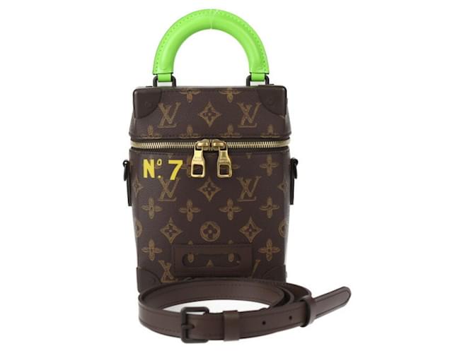 Louis Vuitton Malle Trunk Brown Leather  ref.1353132