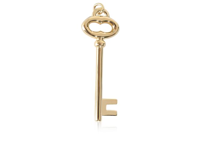 Tiffany & Co TIFFANY Y COMPAÑIA. Colgante Key Fashion en 18K oro amarillo  ref.1354878