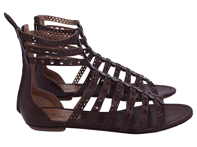 Alaïa Sandalias planas estilo gladiador burdeos Alaia en piel marrón Castaño Cuero  ref.1360730