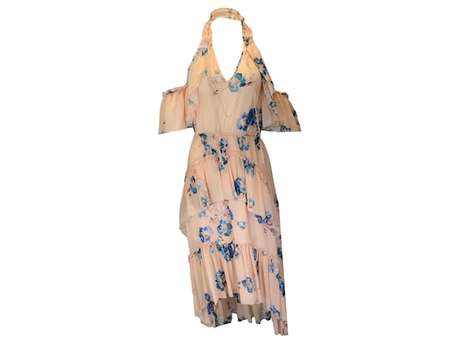 Autre Marque Ulla Johnson Nude Valentine Ruffled Floral-Print Silk-Georgette Dress Multiple colors  ref.1374411