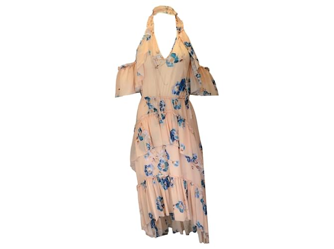 Autre Marque Ulla Johnson Nude Robe en georgette de soie à imprimé floral et à volants Valentine Multicolore  ref.1374411