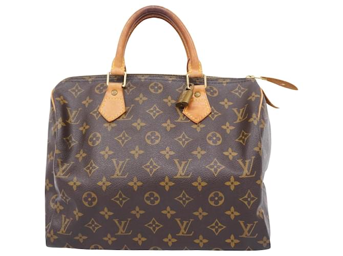 Louis Vuitton Speedy 30 Brown Cloth  ref.1374651