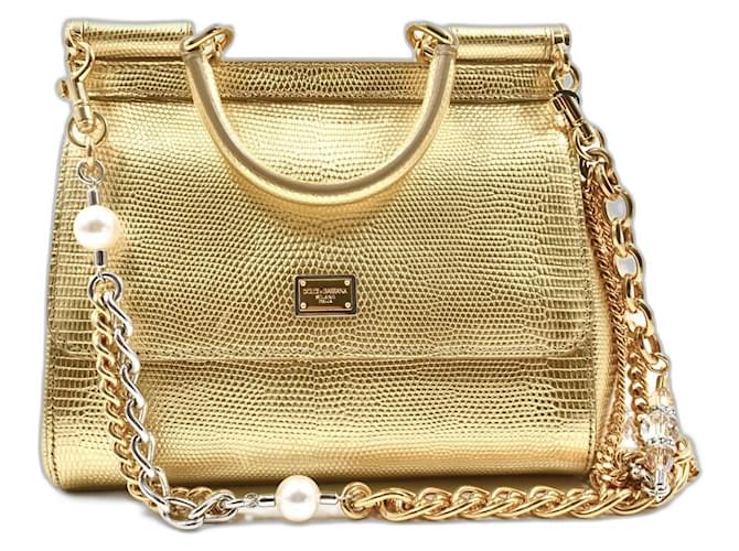 Dolce & Gabbana Sacs à main Cuir Bijouterie dorée  ref.1377686