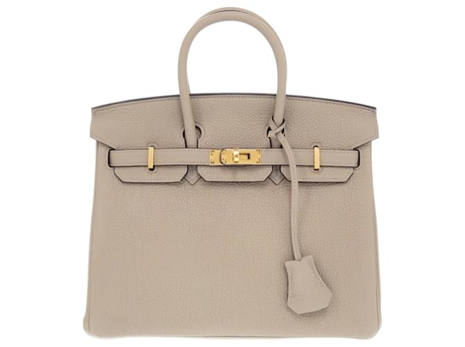 Hermès Birkin25 Grigio Pelle  ref.1378631